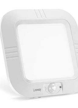Lineway Motion Sensor Ceiling Light Battery Operated Indoor