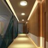 Battery Operated Motion Sensor Ceiling Light: Bright Indoor/Outdoor LED Lighting for Hallways, Stairs, and More