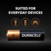 AA 24 Batteries Coppertop Duracell