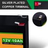 ECO-WORTHY 10W 12V Waterproof Solar Panel Charge kit