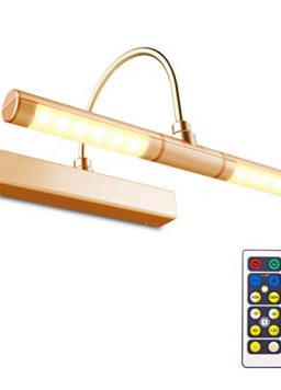 Battery Powered Bright LED Picture Light with Remote Control
