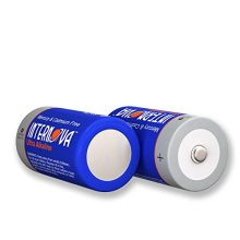 Internova Ultra Alkaline D Batteries