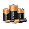 Duracell CopperTop Alkaline Batteries