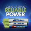 Powermax USA ACDelco Battery Charger