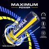 AAA Maximum Power Alkaline Batteries