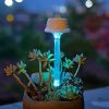 MAGGIFT 12 Pack Solar Pathway Lights, RGB Color Changing