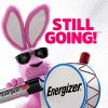 Alkaline D Cell Batteries Energizer