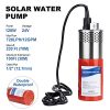 ECO-WORTHY 12V Solar Well Pump System