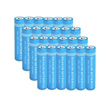 Triple AAA Alkaline Battery 24 Count