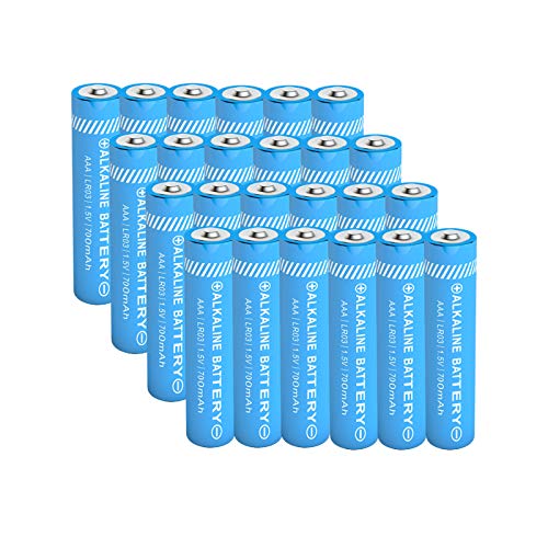 Triple AAA Alkaline Battery 24 Count