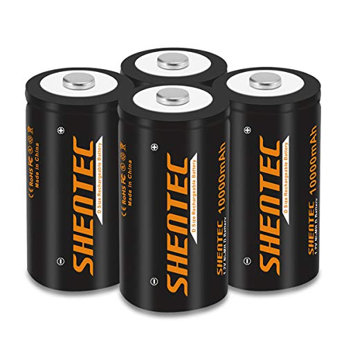 Rechargeable D Batteries High Capacity 10000mAh