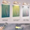 Illuminate Your Art: Wireless Picture Light with Rotatable Tube and Remote Control