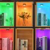 Battery Operated Under Cabinet Lighting with Remote Control & Timing