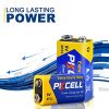 PKCELL 9V Dry Battery (2 Pack) – Powerful 9 Volt Carbon Zinc Batteries for Smoke Detectors, Guaranteed 3-Year Shelf Life