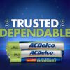 Powermax USA ACDelco Battery Charger