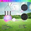 12Pack Outdoor Hanging Solar Lights
