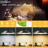 Solar Lights Outdoor Super-Bright LEDs Security