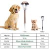 Solar Garden Lights Outdoor Pathway Lights Glass