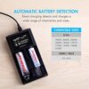 Tenergy 2-Bay Universal Battery Charger with LCD