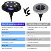 Outdoor Aesthetics with 8 Pack Solar Ground Lights (Cool White + Blue) - Your Pathway to Illuminated Landscapes
