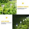 Enhance Your Outdoor Ambiance with 12-Pack Stainless Steel Solar Lights