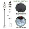 MAGGIFT Christmas Outdoor Solar Stake Lights