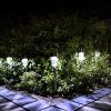 16Pack Solar Pathway Lights Outdoor Stainless Steel