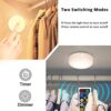 Battery Operated Puck Lights (6 Pack) - Dimmable Wireless Under Cabinet Lighting with Remote Control for Kitchen Convenience! 🌟🔋🍽️