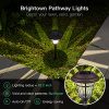 Brightown Solar Pathway Lights 6 Pack Brown