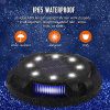Outdoor Aesthetics with 8 Pack Solar Ground Lights (Cool White + Blue) - Your Pathway to Illuminated Landscapes