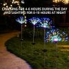 ✨ 2 PCS Solar Firework Lights - Multi-Color 120 LED String Lights for Outdoor Garden, Pathway, Yard, & Christmas Decorations