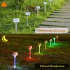 MAGGIFT 12 Pack Solar Pathway Lights, RGB Color Changing