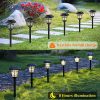 Radiant Garden Delights: 12-Pack Solar Pathway Lights