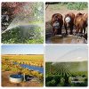 ECO-WORTHY 100W Solar Water Pump Kit