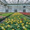 ECO-WORTHY 100W Solar Powered Fan System – Eco Cooling for Greenhouse & Attic