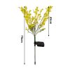 Flower Rape Blossoms Beautiful Solar Light