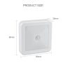LED Night Lamp Battery Operated WC Bedside