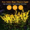 Flower Rape Blossoms Beautiful Solar Light