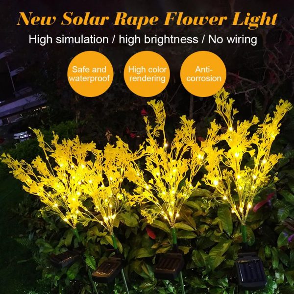 Flower Rape Blossoms Beautiful Solar Light