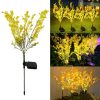Flower Rape Blossoms Beautiful Solar Light
