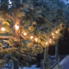 Shatterproof G40 LED Outdoor String Lights with Remote – Perfect for Patios, Gardens, and Parties