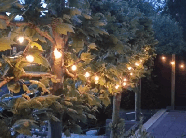 Shatterproof G40 LED Outdoor String Lights with Remote – Perfect for Patios, Gardens, and Parties
